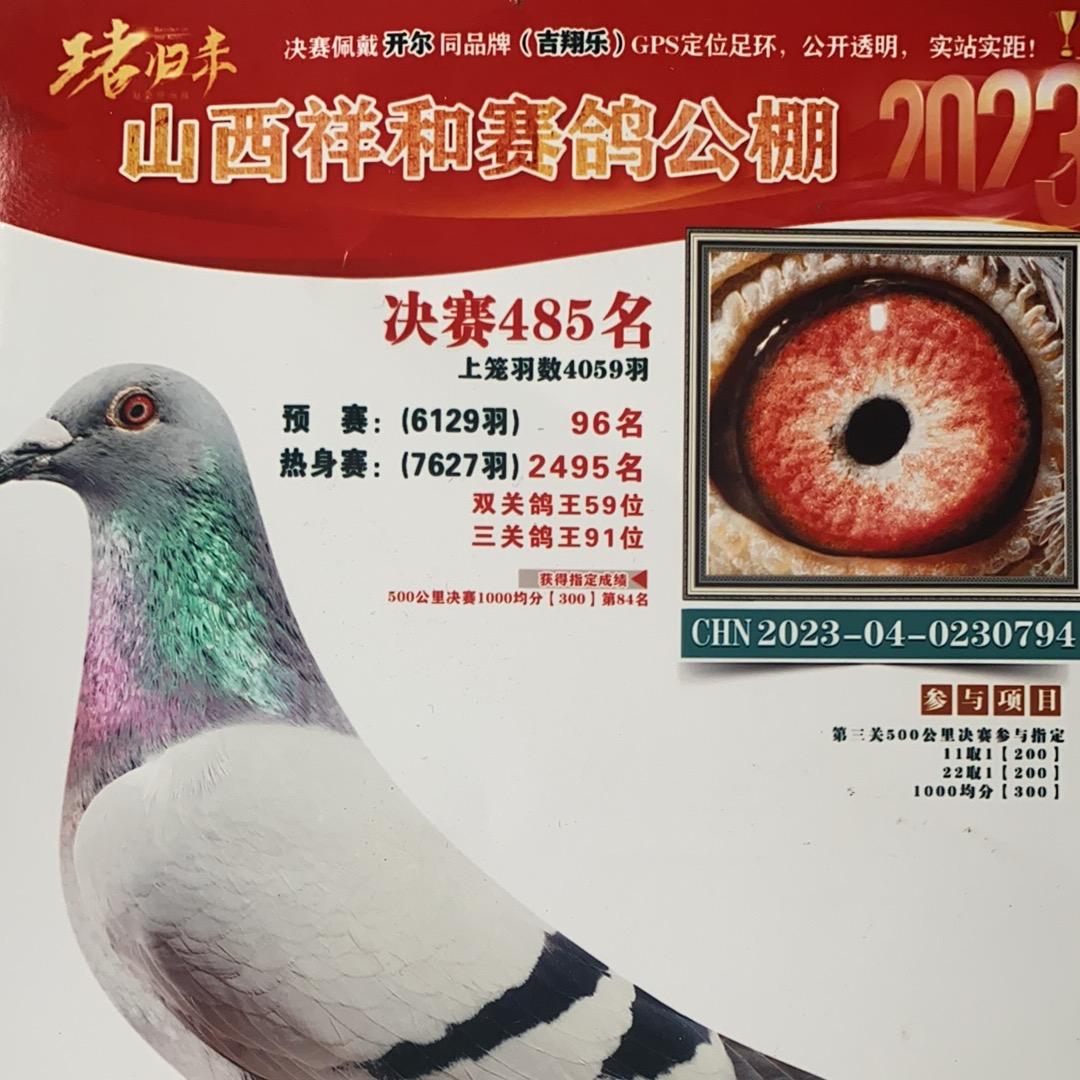 ᥫᩣ⁵²º🐒₁₉₉2李᭄࿐ᩚ