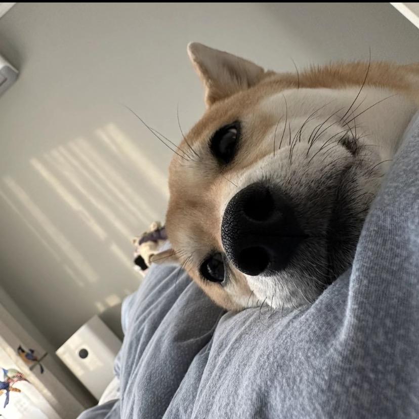 ㅤㅤ   ㅤㅤㅤㅤㅤ   ㅤㅤㅤ   ㅤ