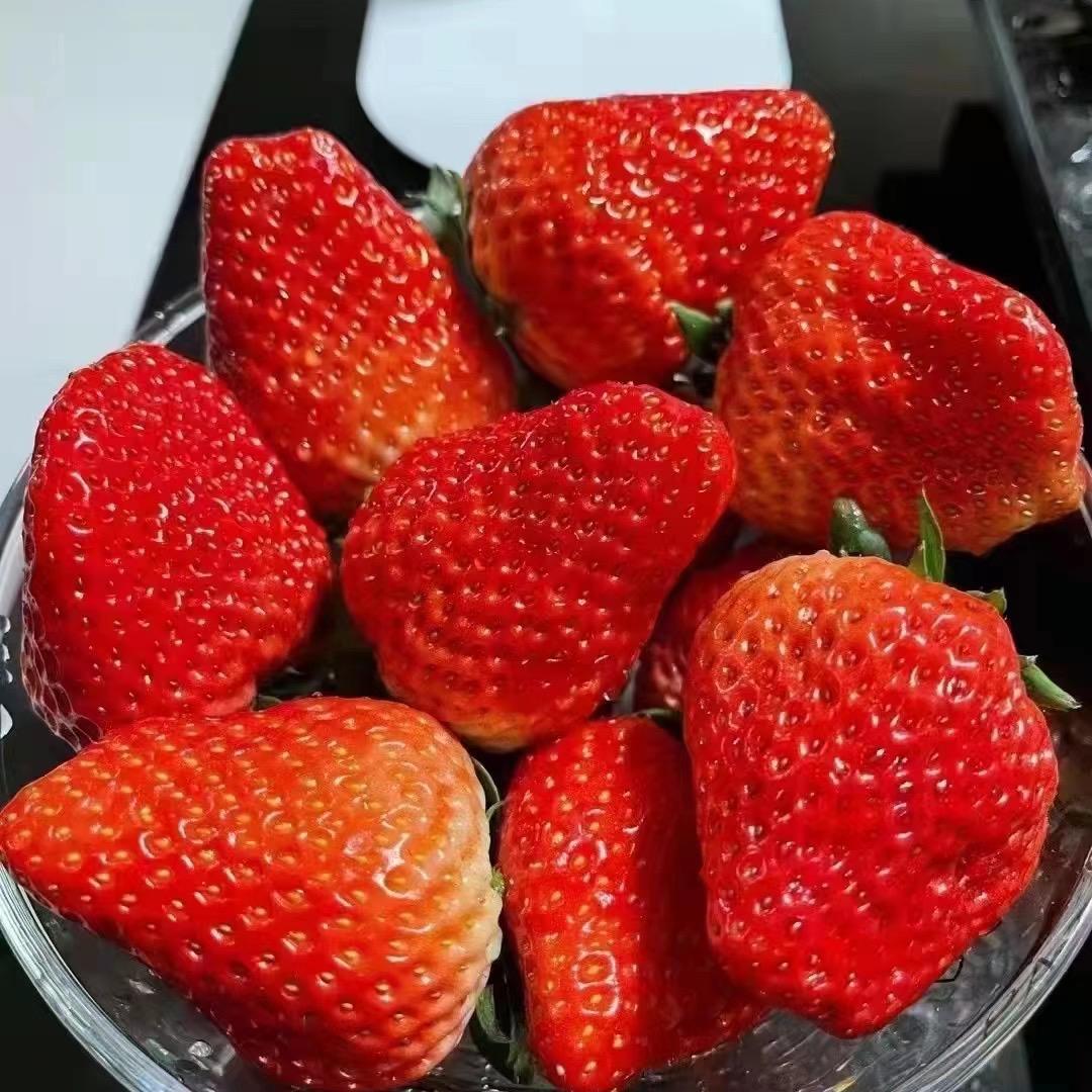 阿一草莓🍓