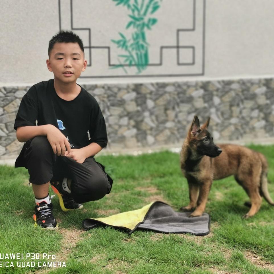 田园犬舍海波