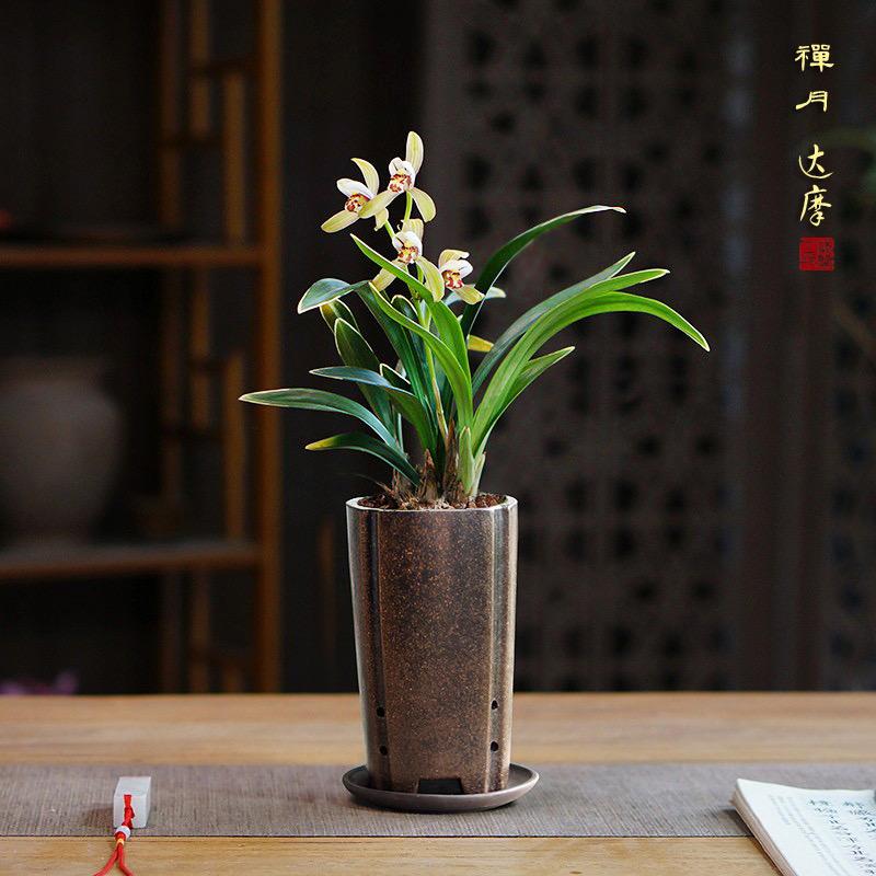 茗雅轩甄选
