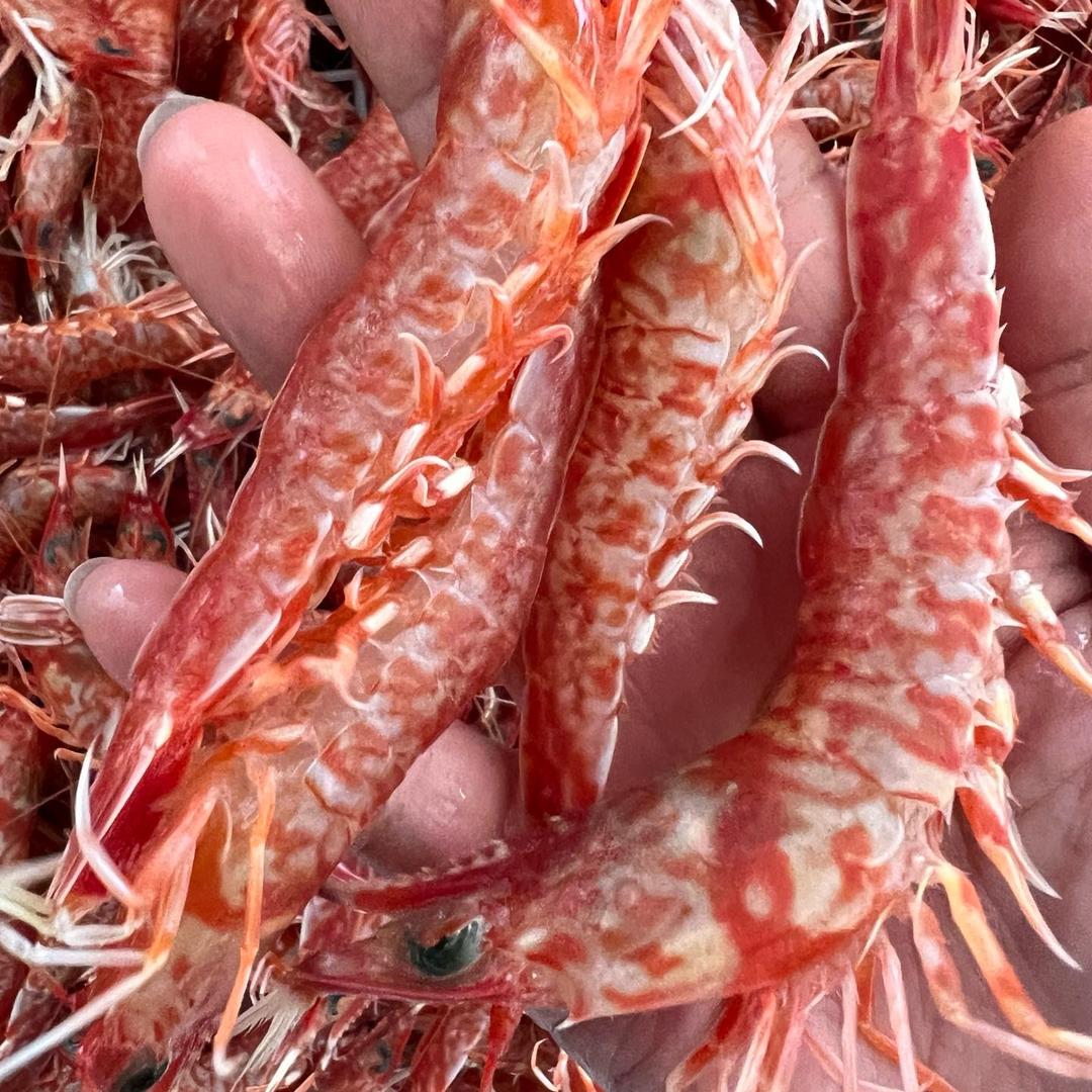海极鲜海鲜店