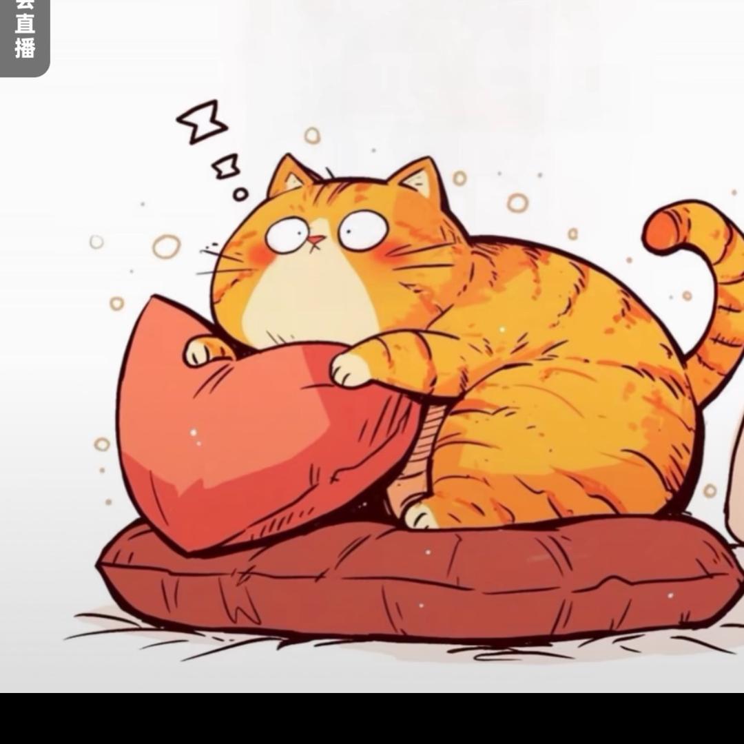 ¥¥@.^