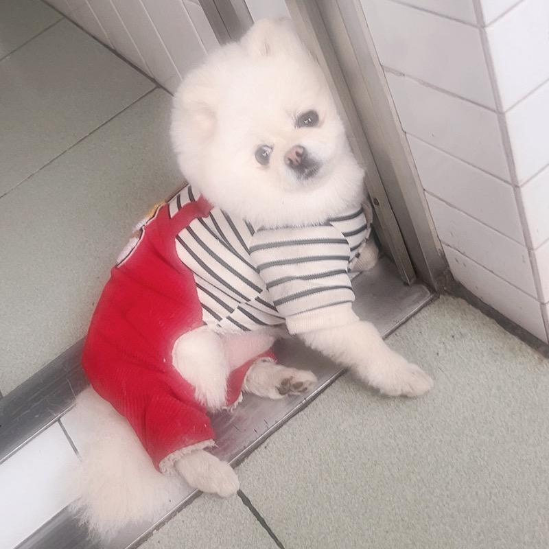 ʚᥫᩣᰱ小ᐝ꧔ꦿ米᭄辣ꦿ