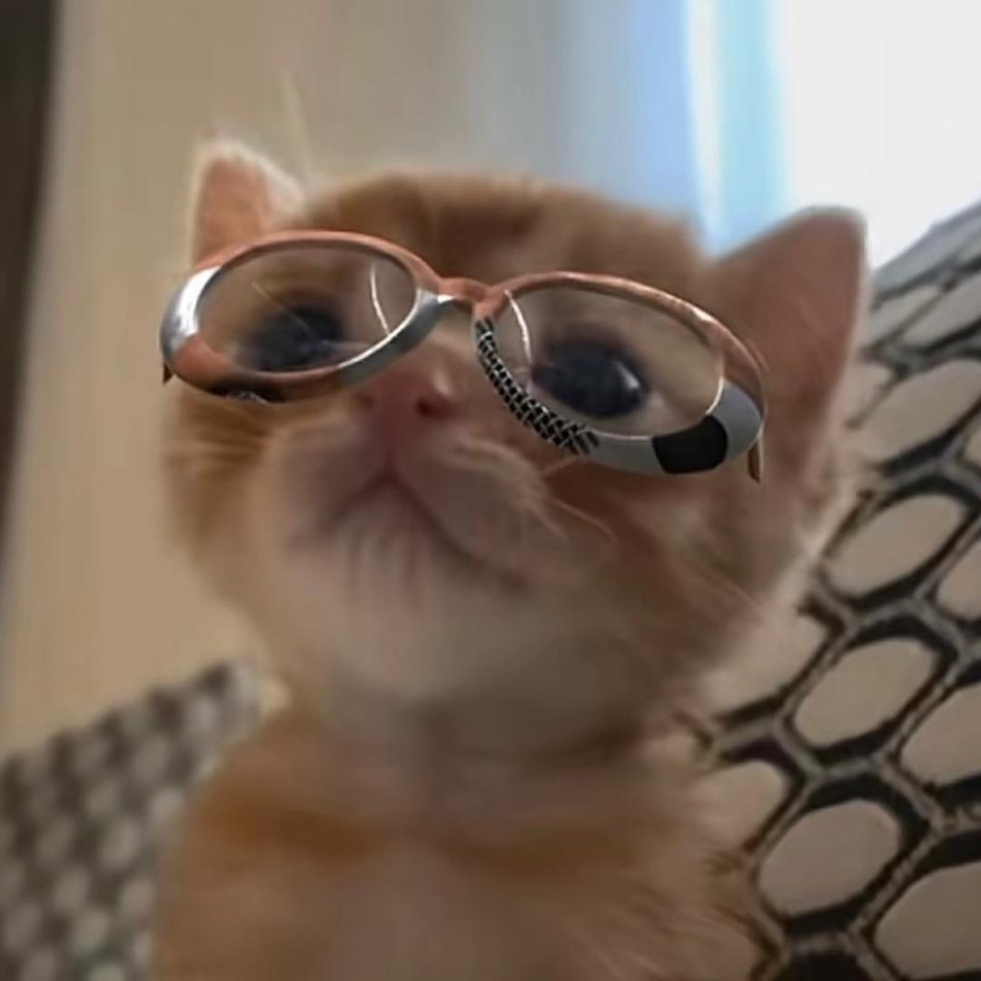 我想要两颗西柚