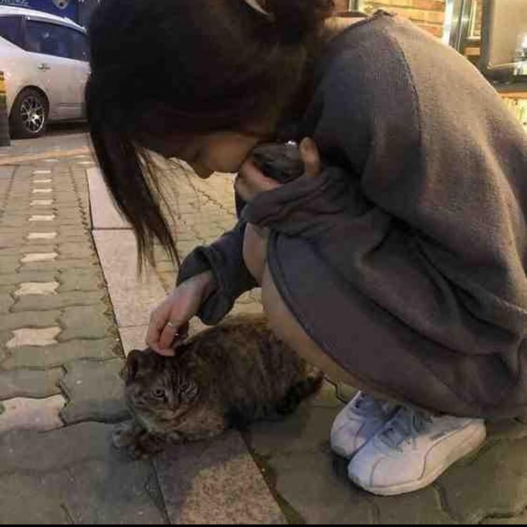今天吃过饭了