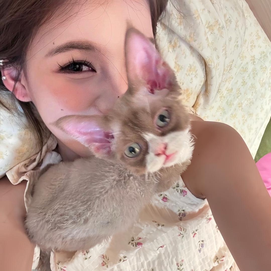 小yaooo次元
