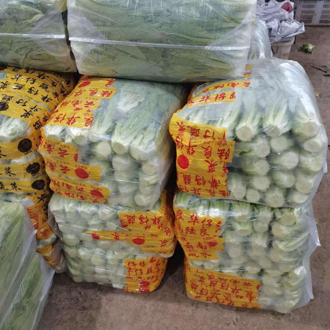 蔬菜搬运二毛哥别问我累不累