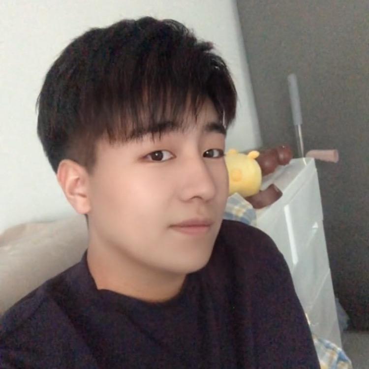 呆呆猫舍
