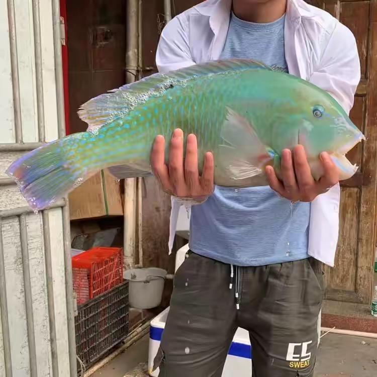 ＊阿斗户外赶海