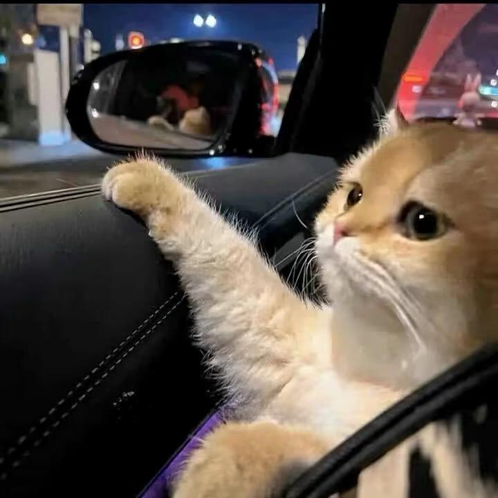 ꧁💞灵℘犀💞᪲ ꧂