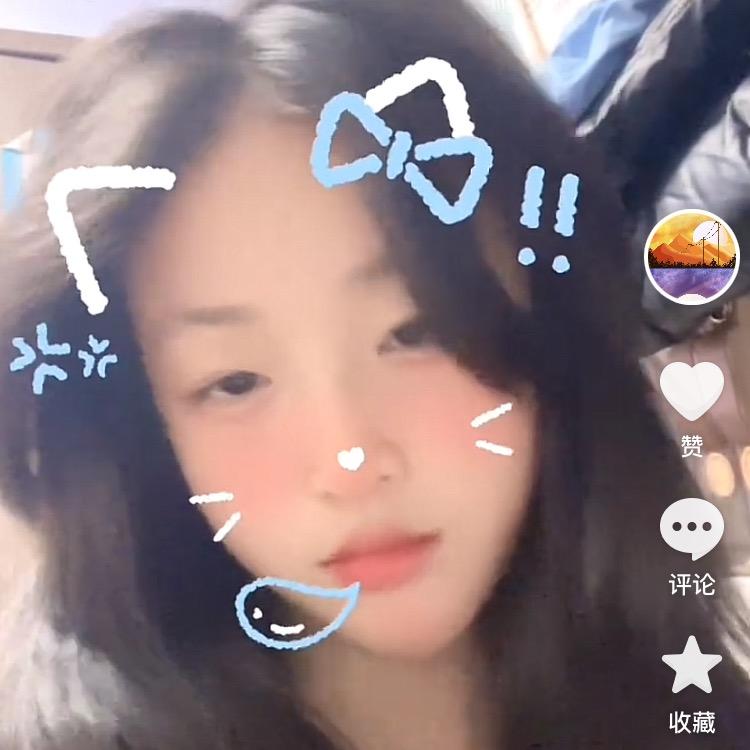 小熊宝