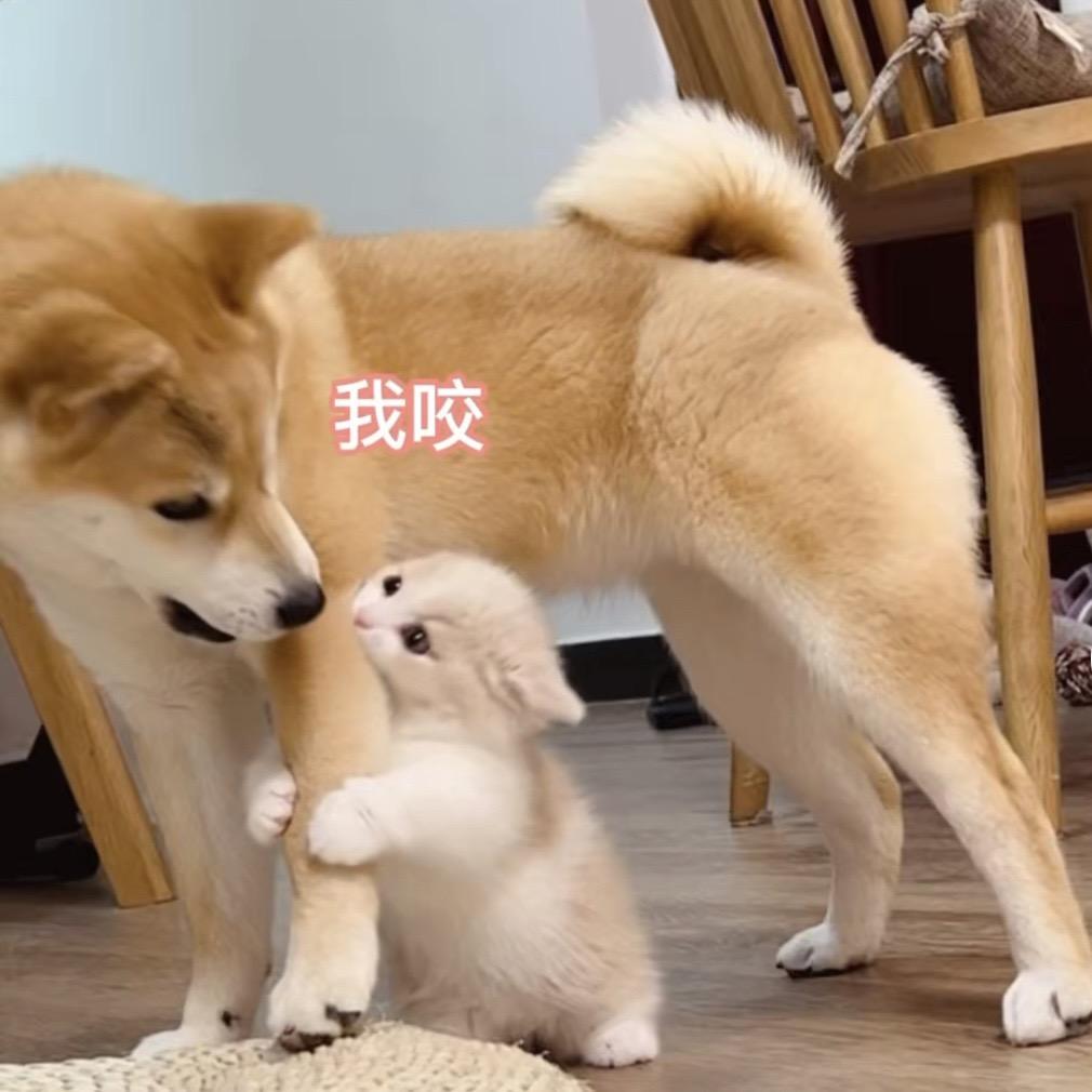 天气好热