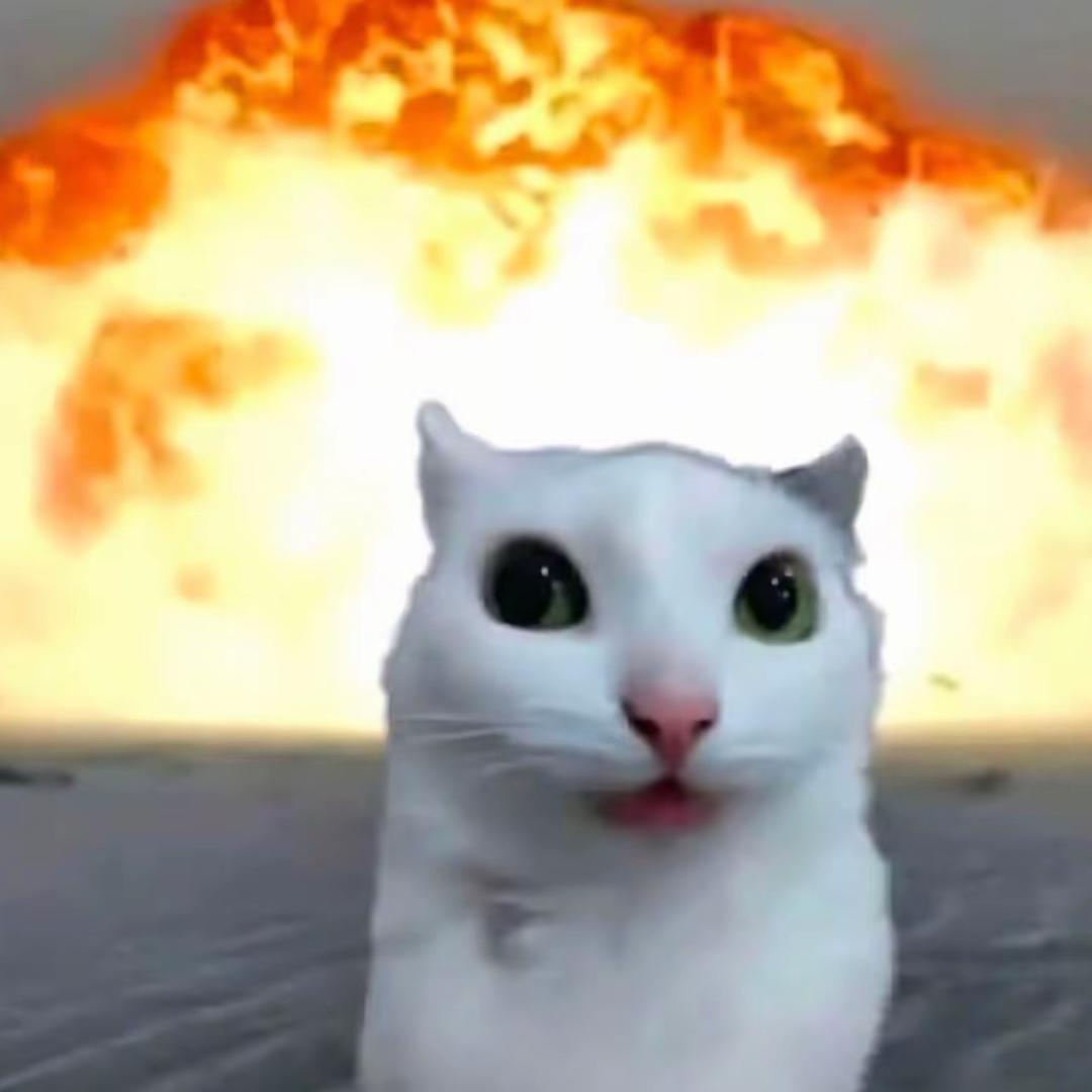 尘埃