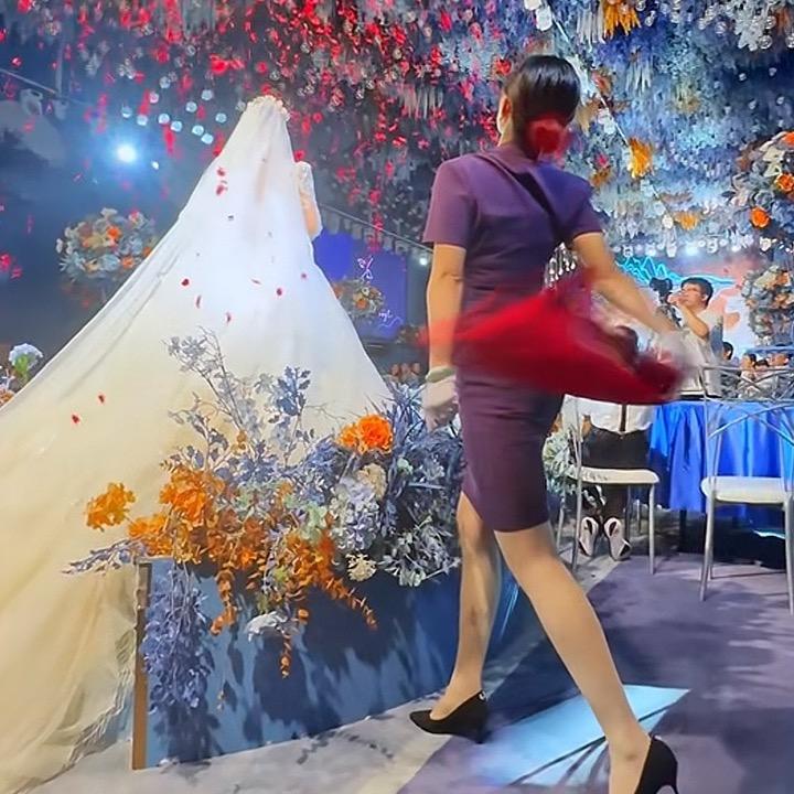 唐三妹花小磊4月10-12号与花相约三妹