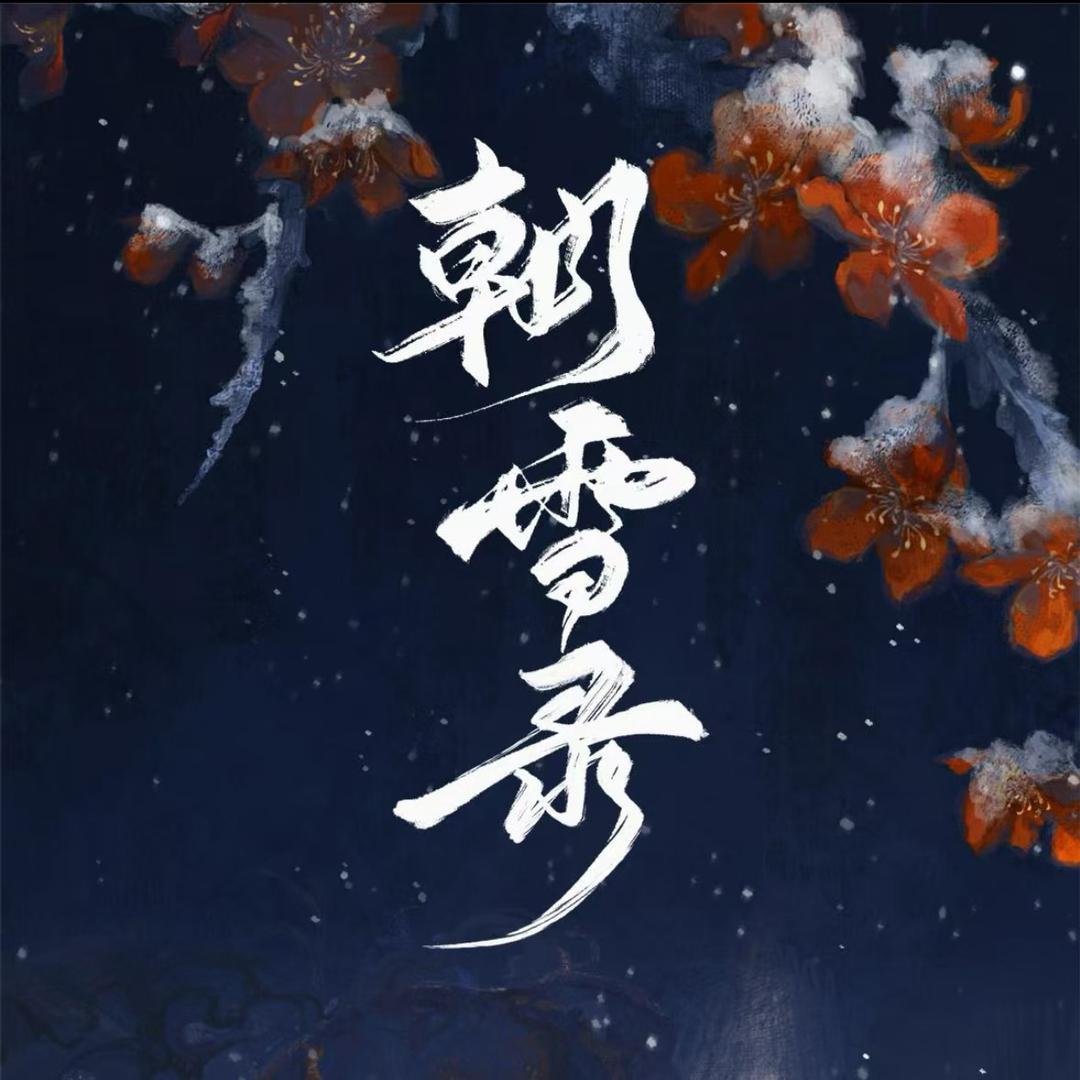 朝雪录（天下无冤版