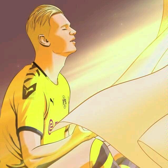 飞翔