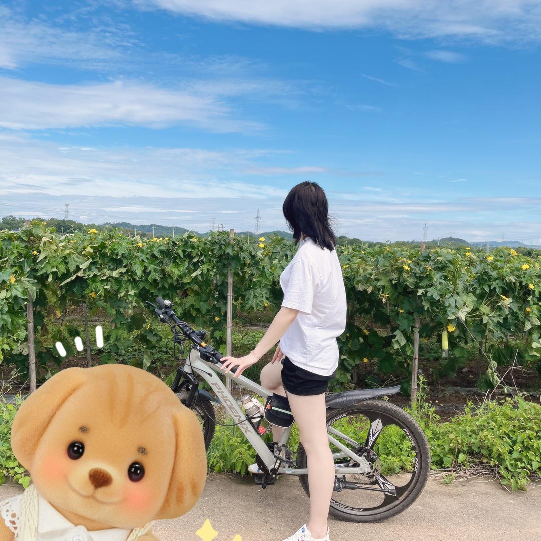 Lෆiೄ