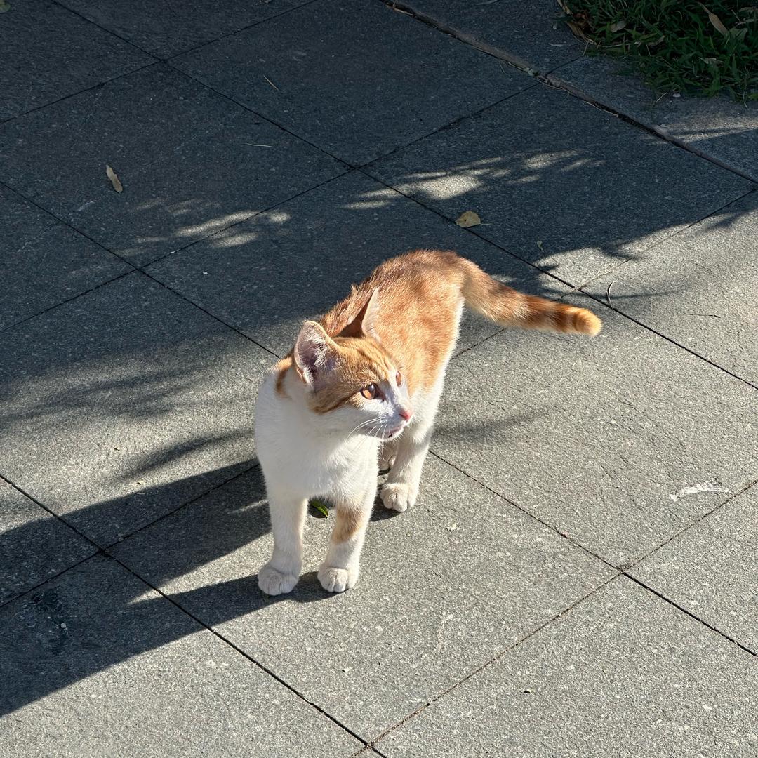 潍坊博雅科技中职崔老师