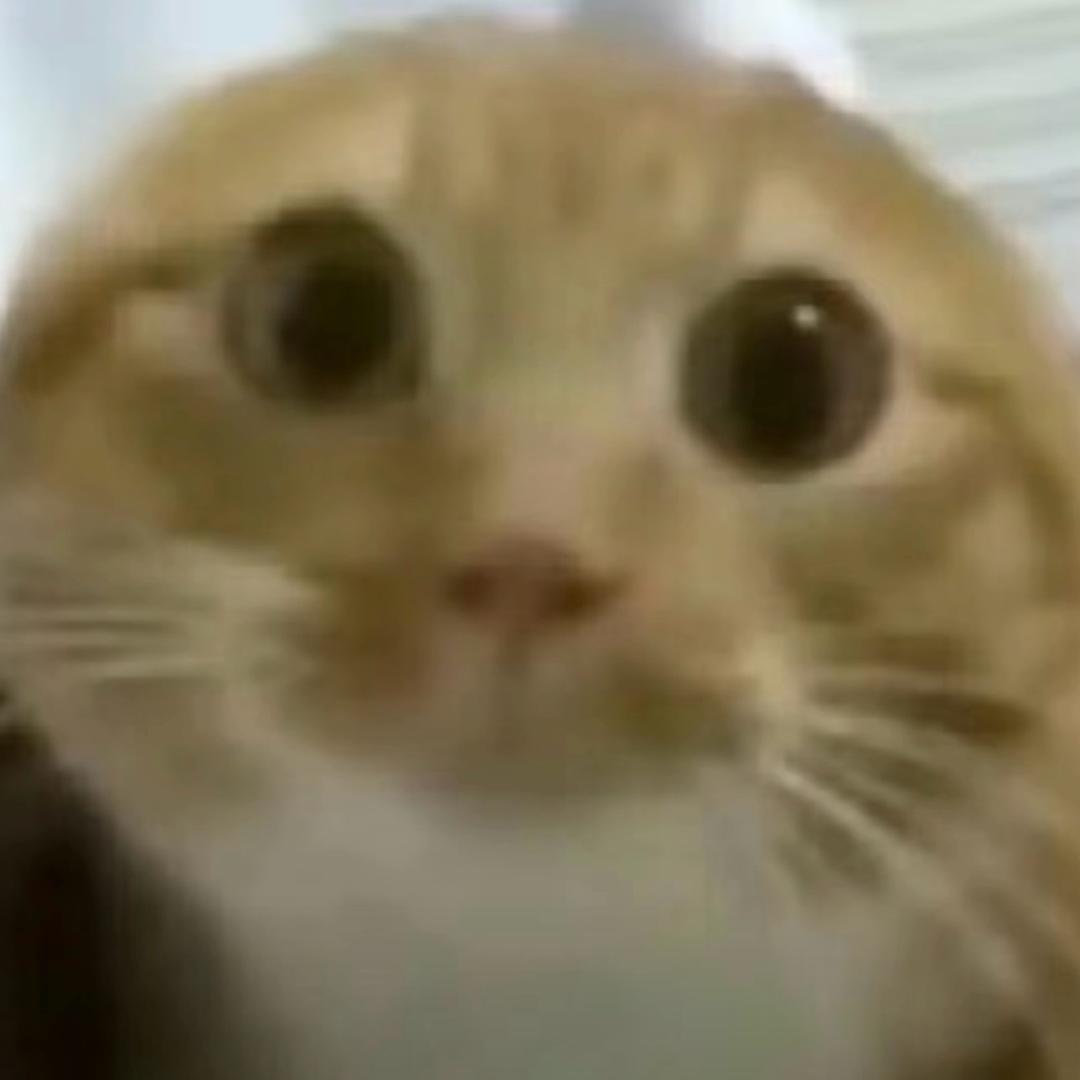 去码头整点薯条>＜