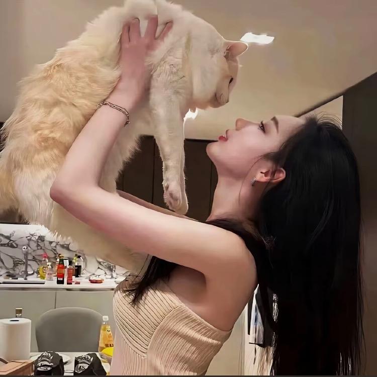星糖梦境