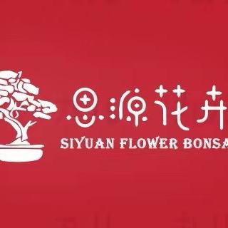 思源花卉园艺盆景