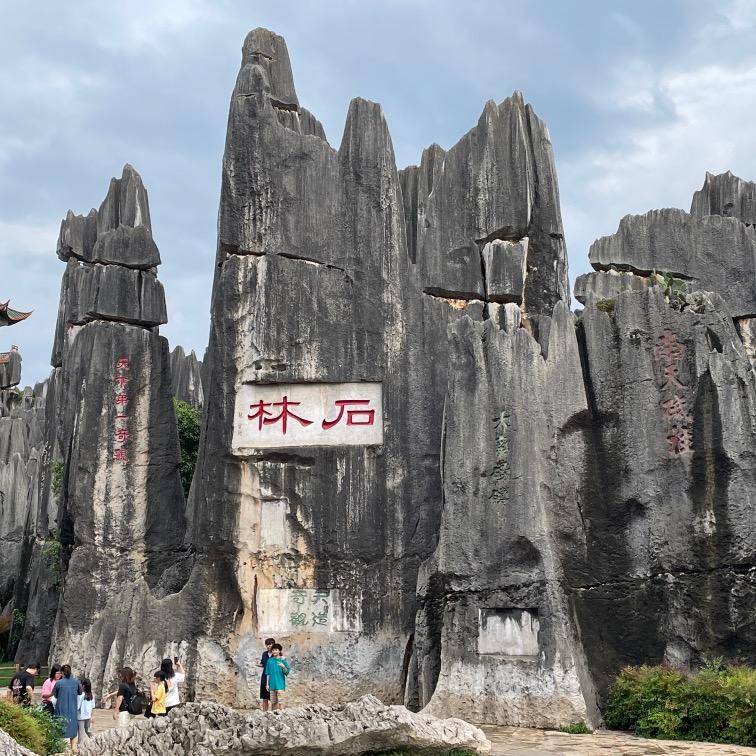 追求者