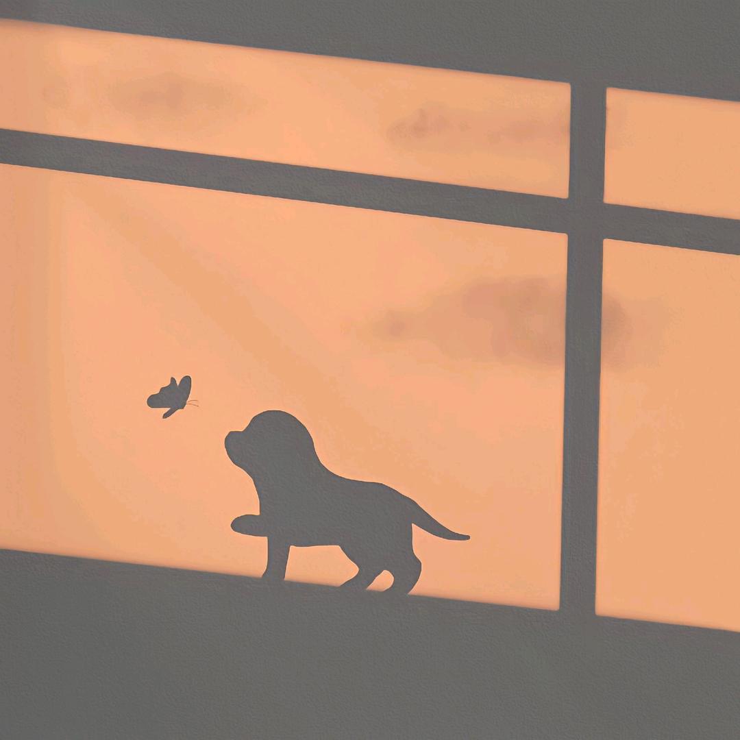 不会仰泳的小乌龟