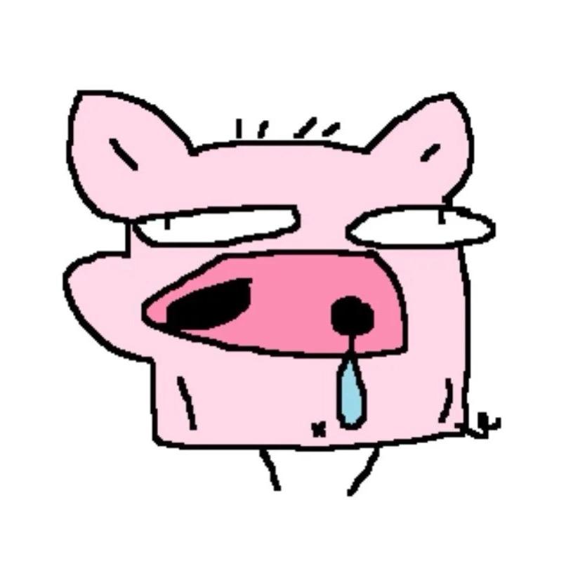 CrA2y🐷