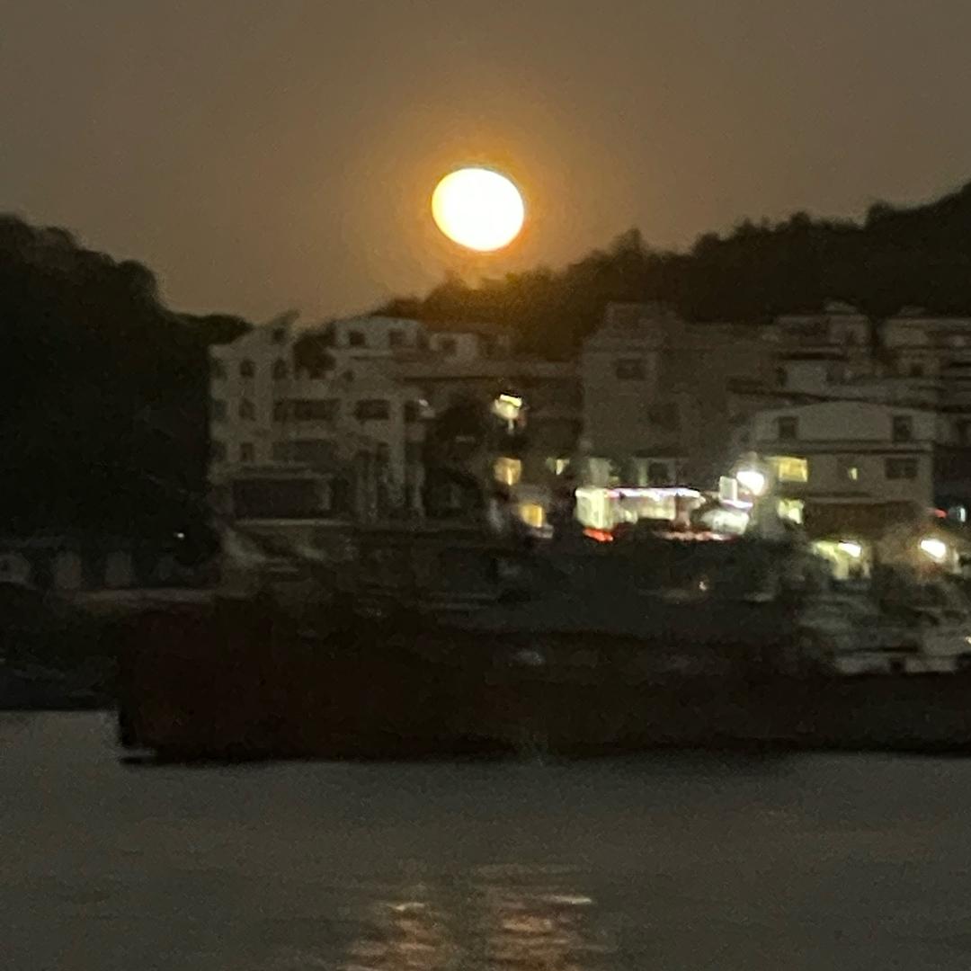 吇⚡️尼