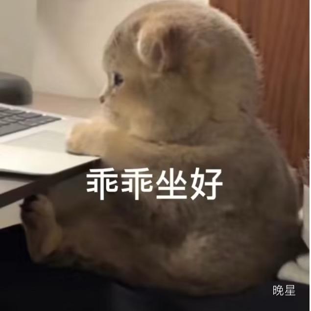 塔塔日记（橘子徒弟）
