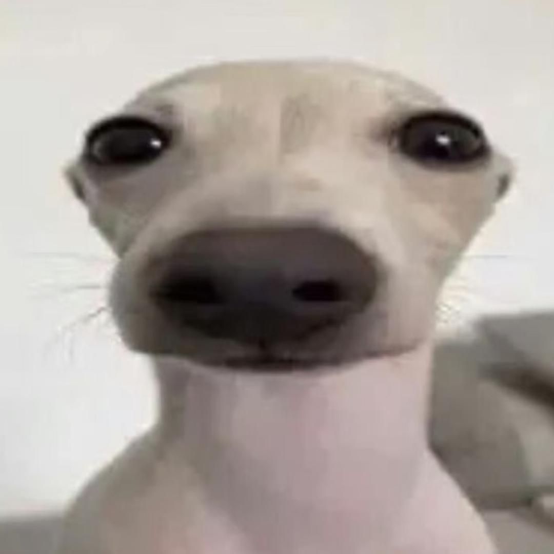 奏