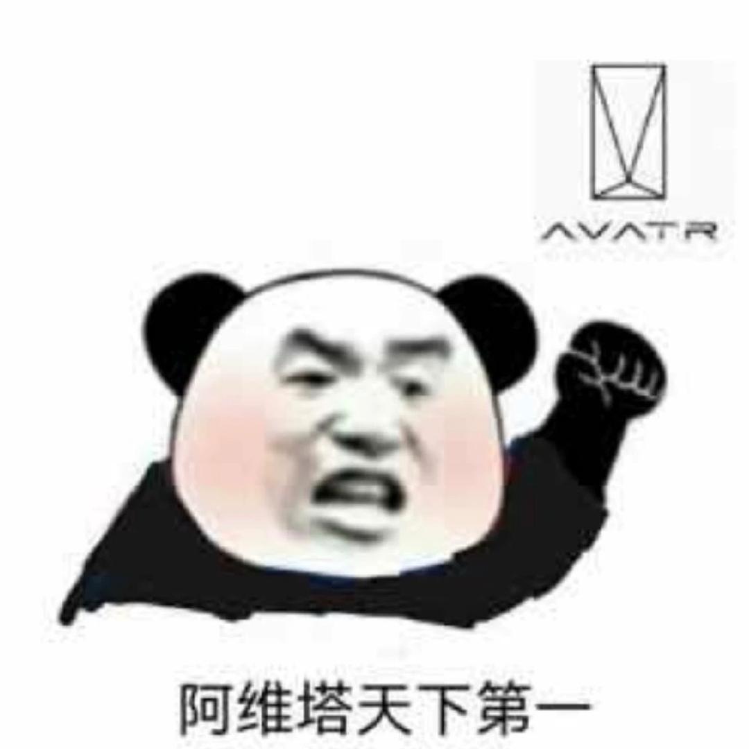 阿维塔编程匹配