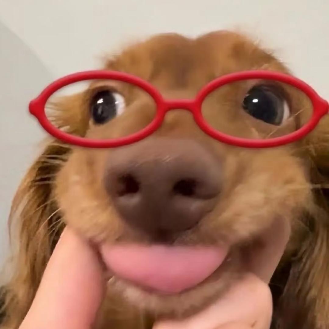 鱼米