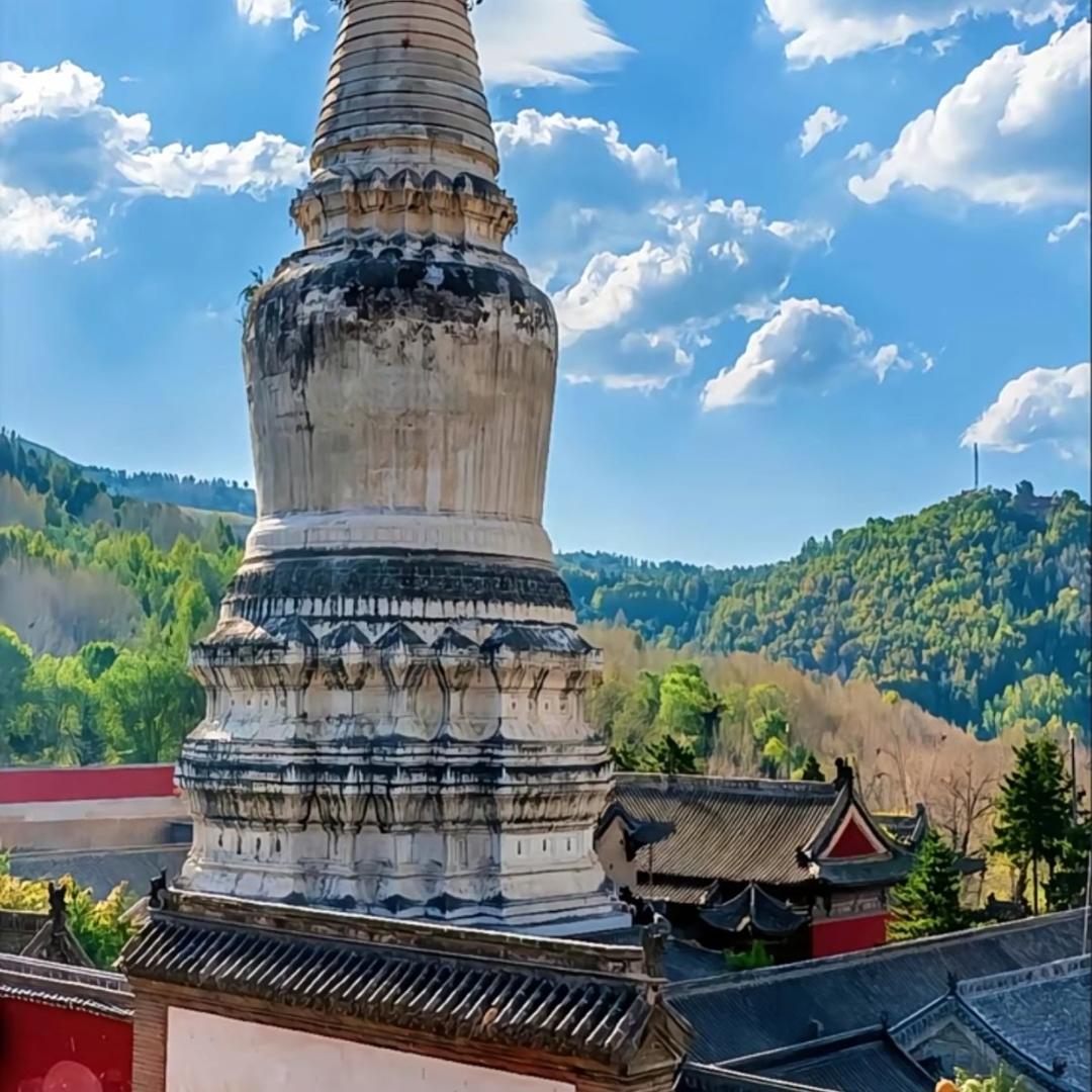 五台山凡圣~咨询服务