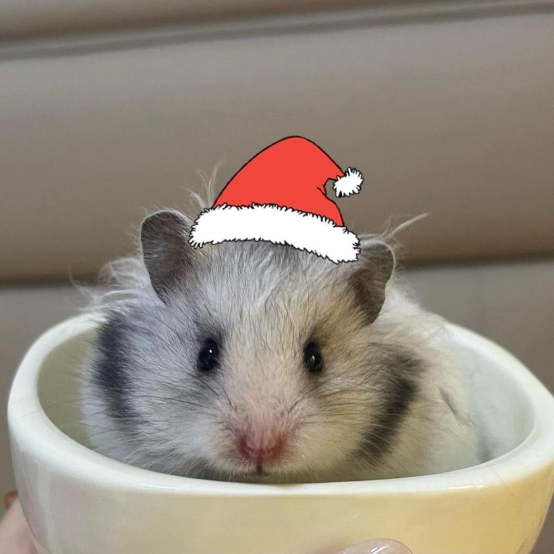 翻斗花园牛爷爷