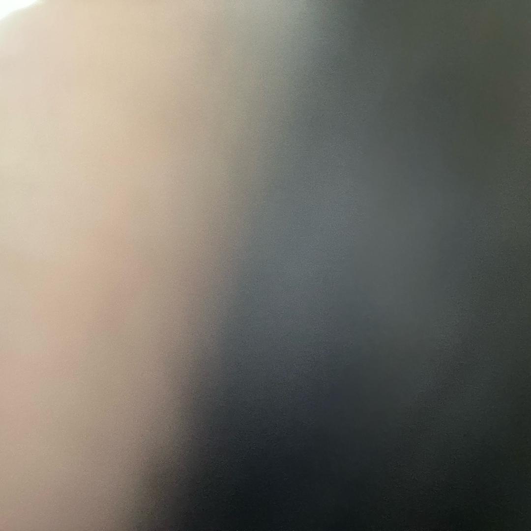 吃菜的虫子