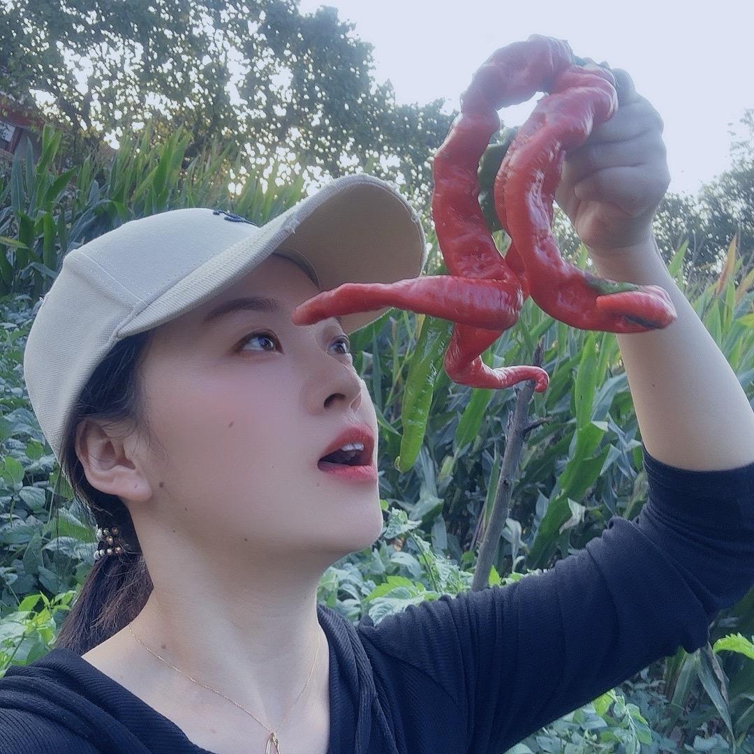 甘肃可可