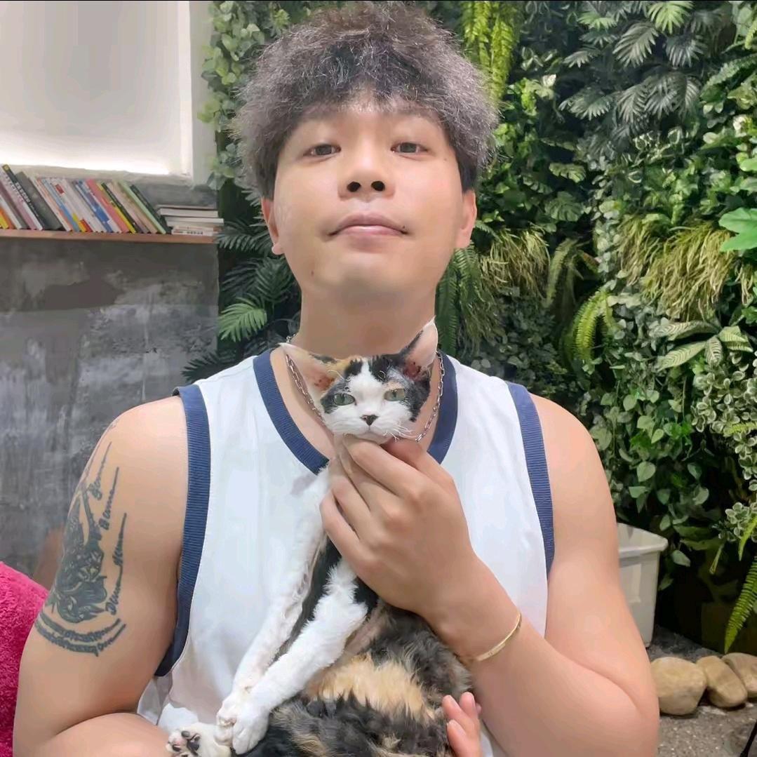 想养猫（德文猫）阿伟直播号