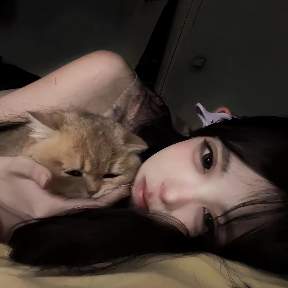 🪷.荷花