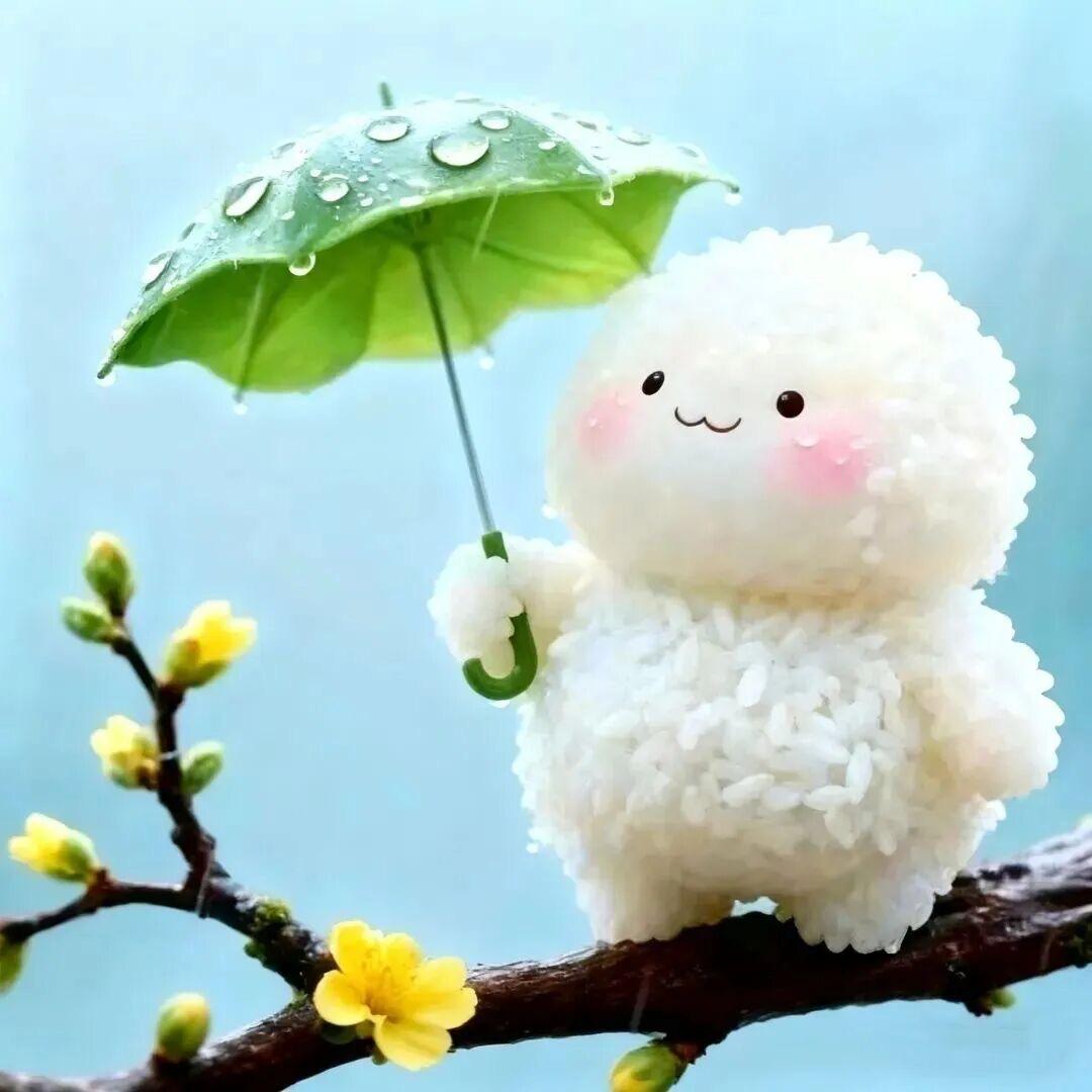 丽丽