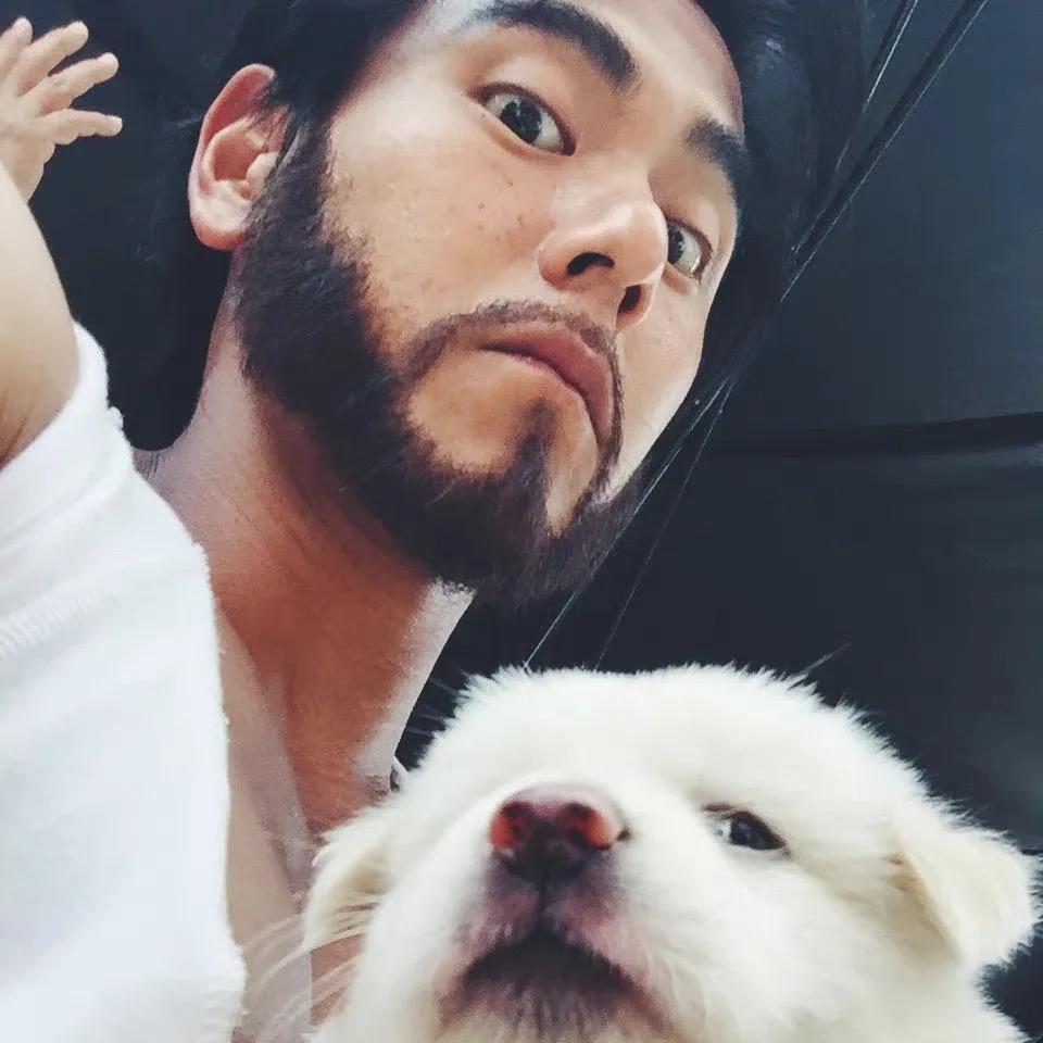 Dodo