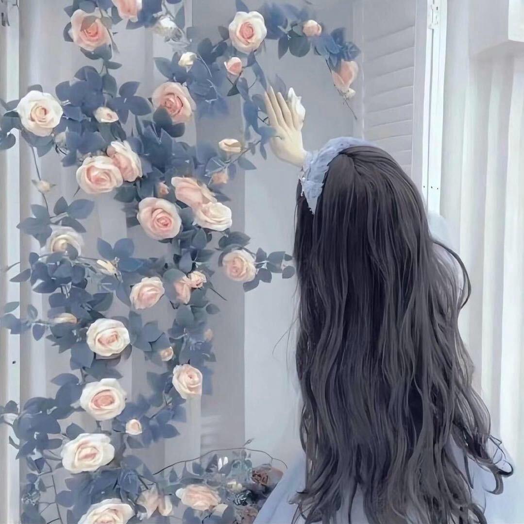 杨小露💙