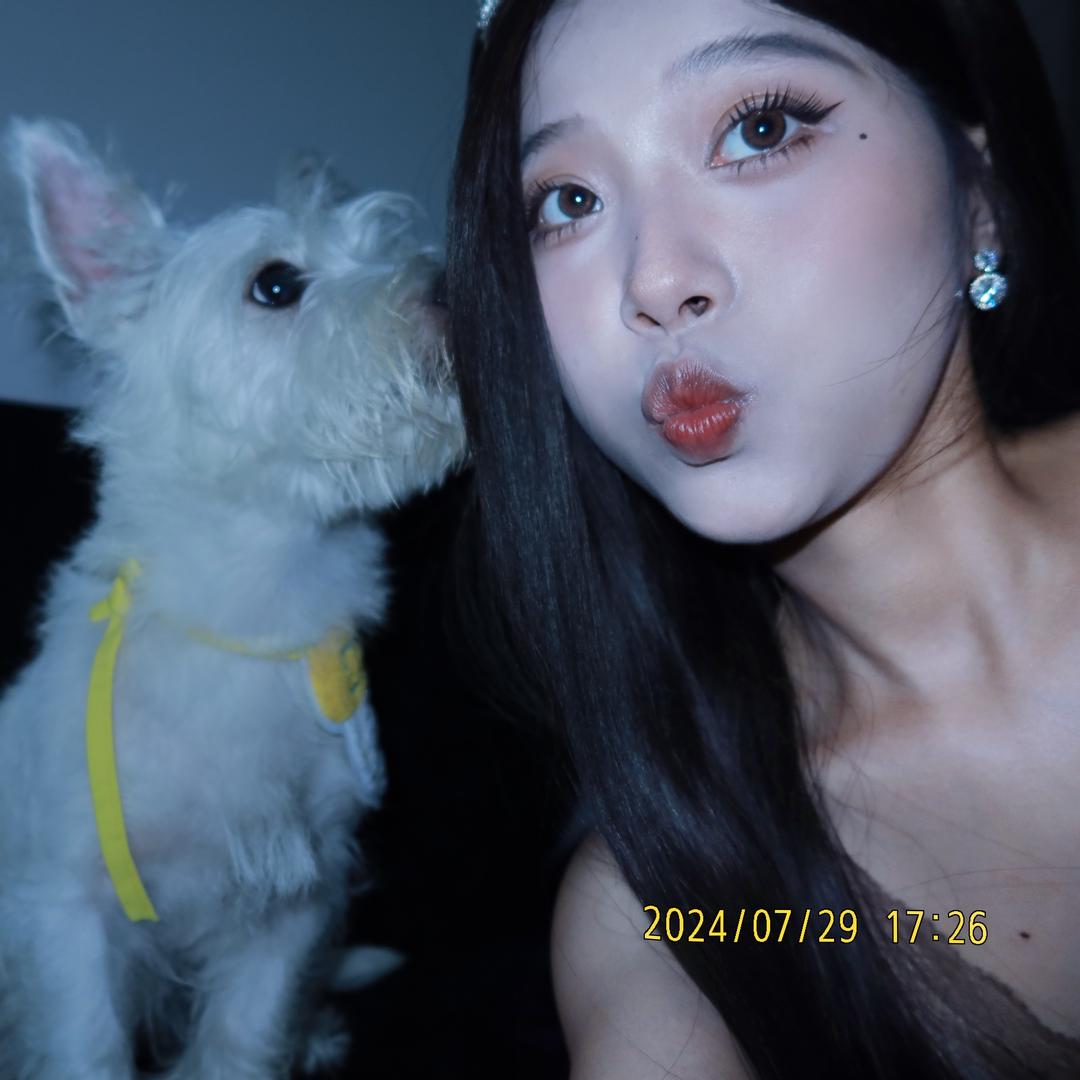 超爱折耳根🍚