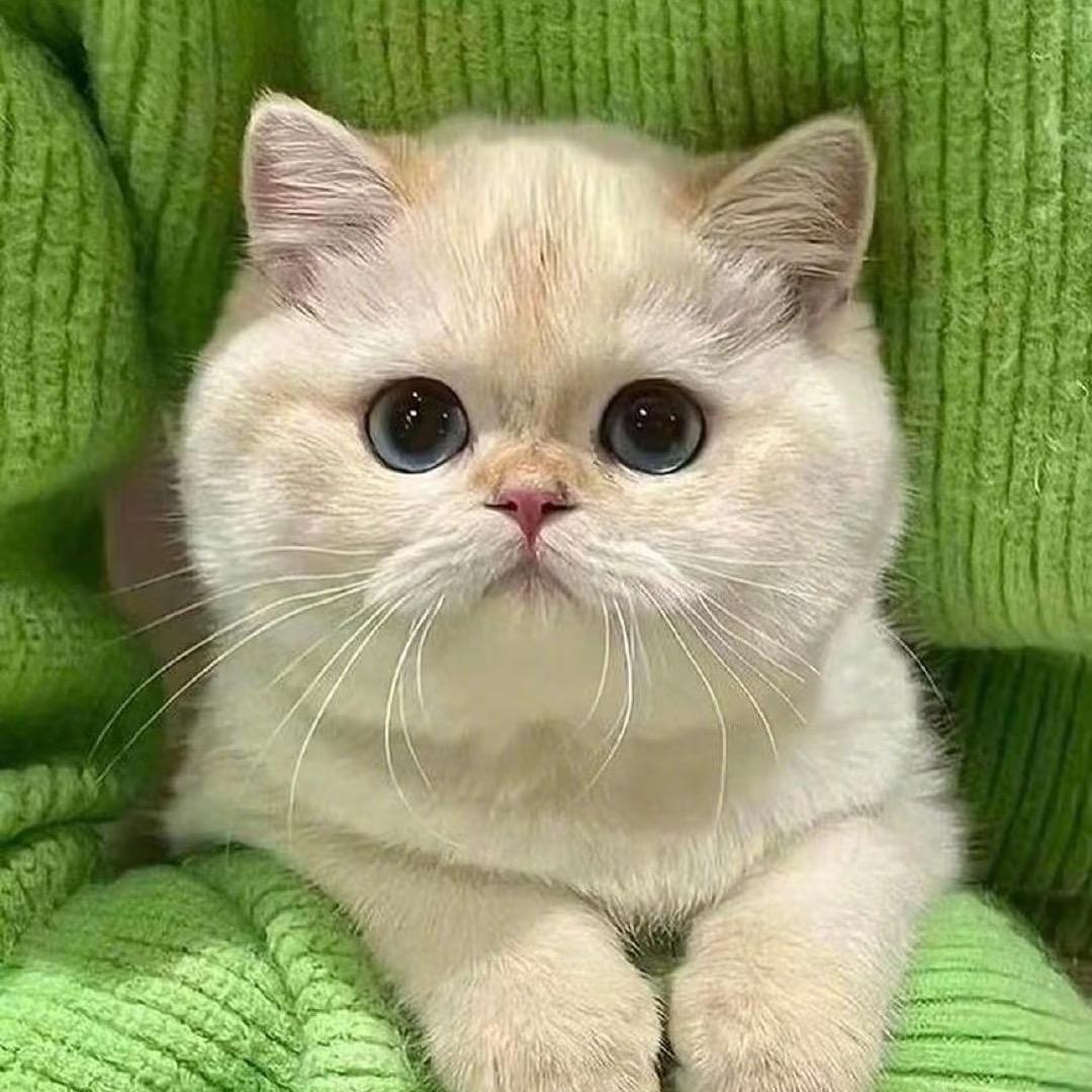 优米🥇