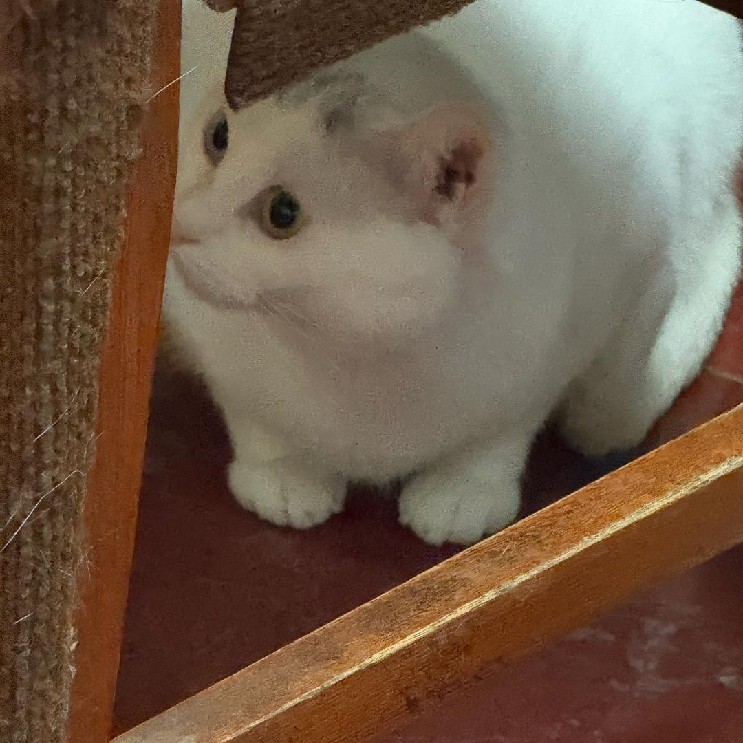 没烦恼！
