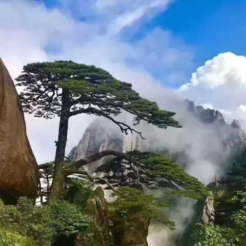 马到功成