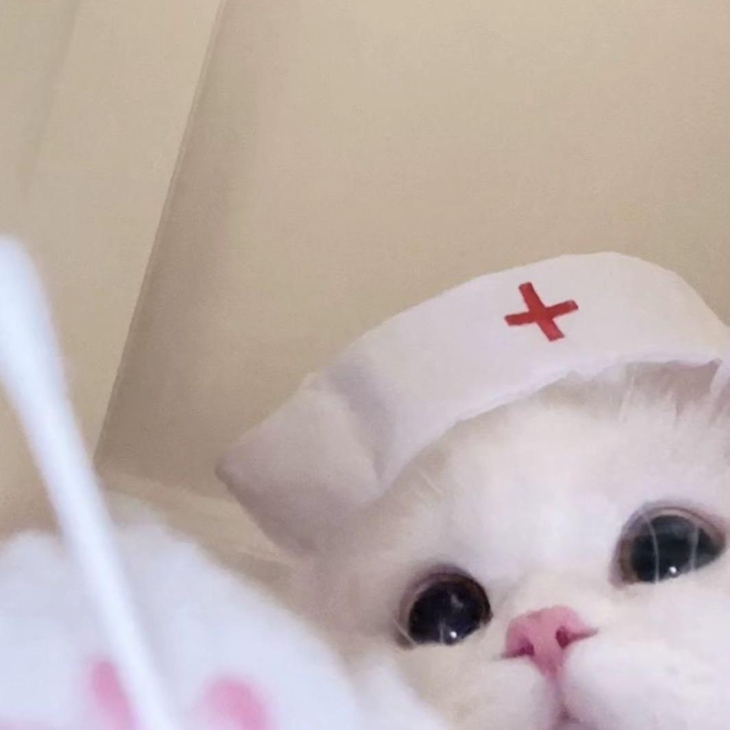 小羊失绵了ww