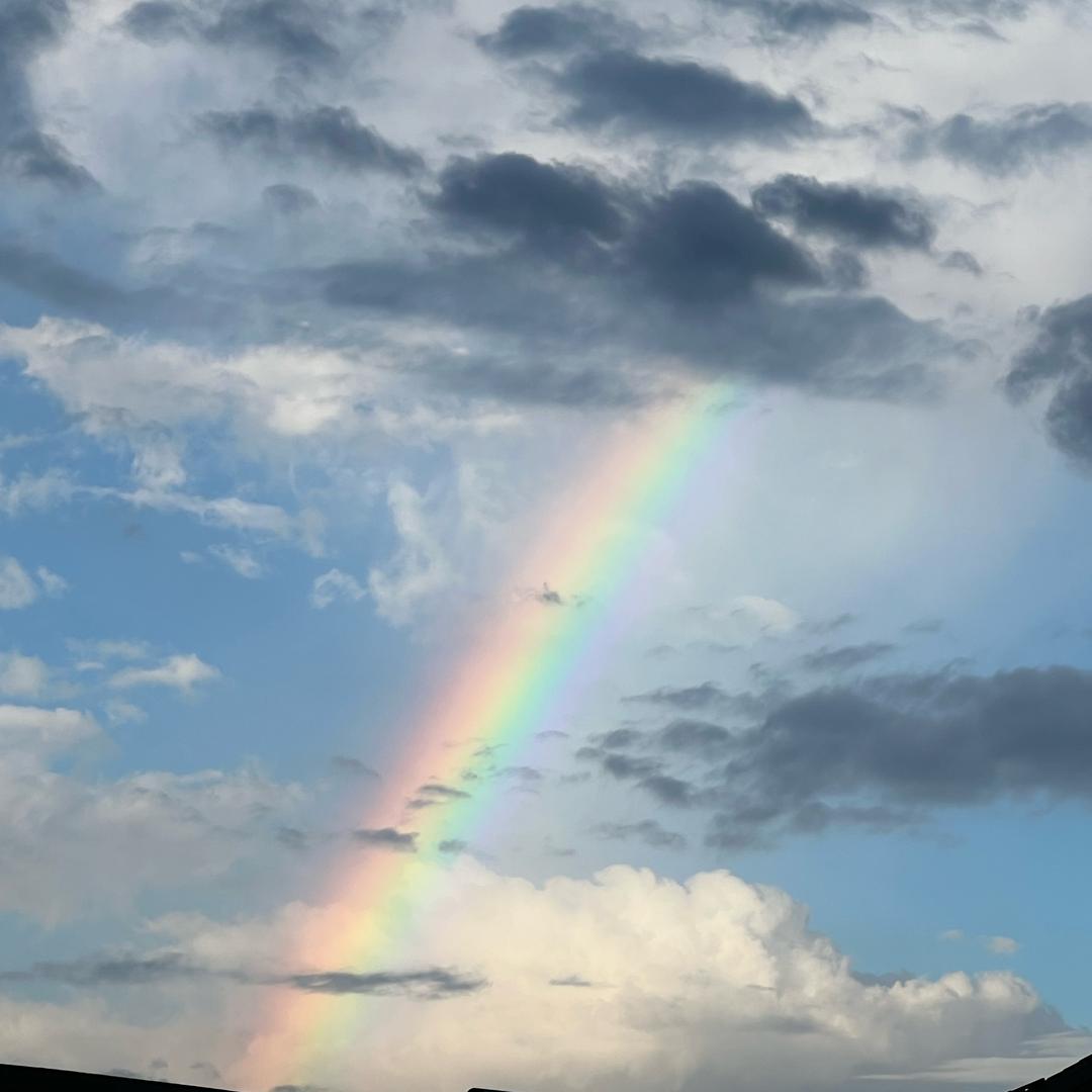🌈人言者🌈
