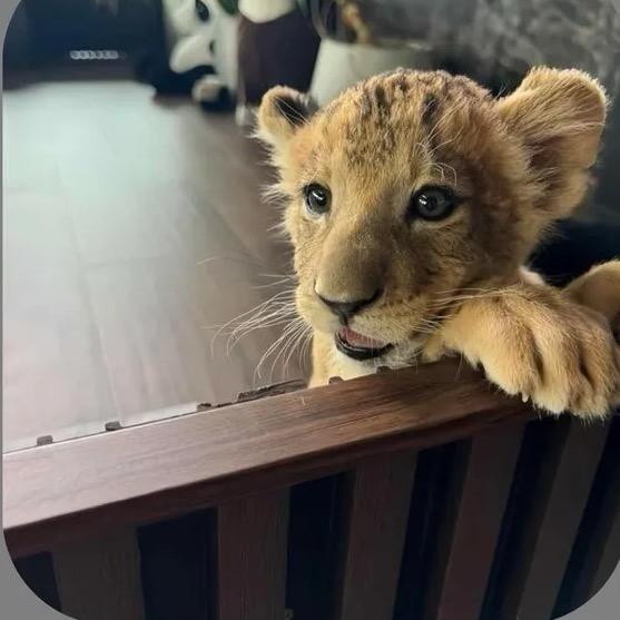 ￴ ￴ 迷失的路